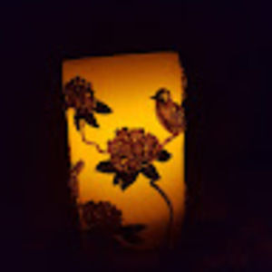 Meet your Posher, Nasira